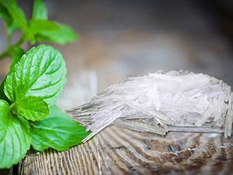 منتول چیست؟