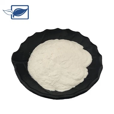 پودر سرکه سیب آلی